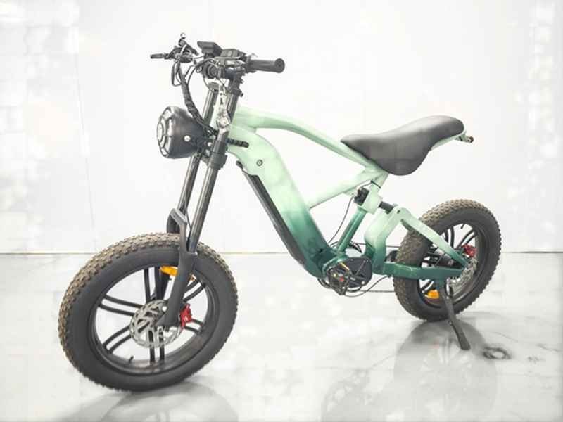 electric bike 2000 w