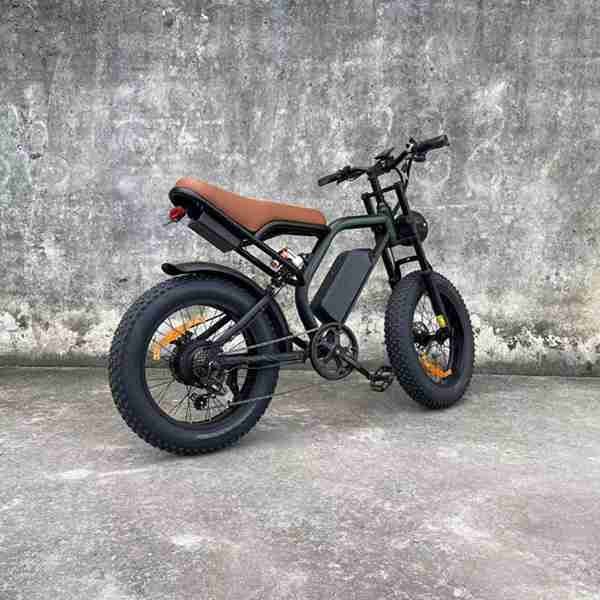 electric bike 2009 watts