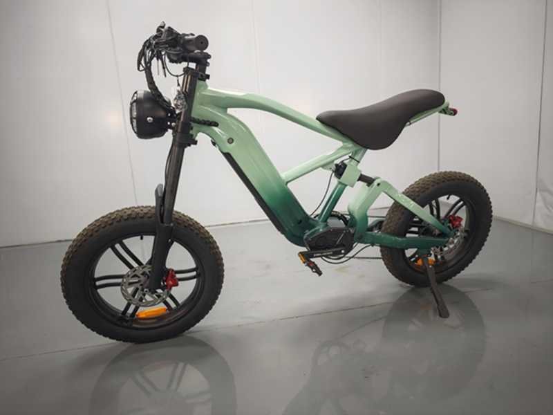 electric bike 3 seaters