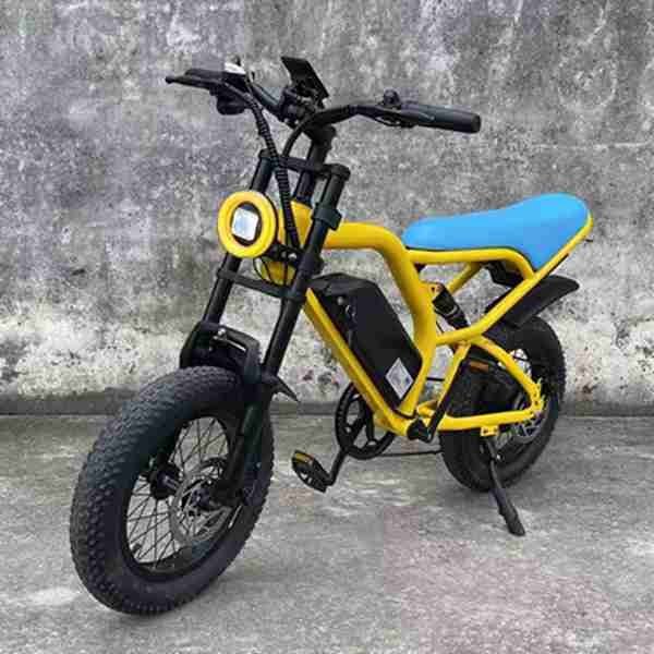 electric bike 4 seater