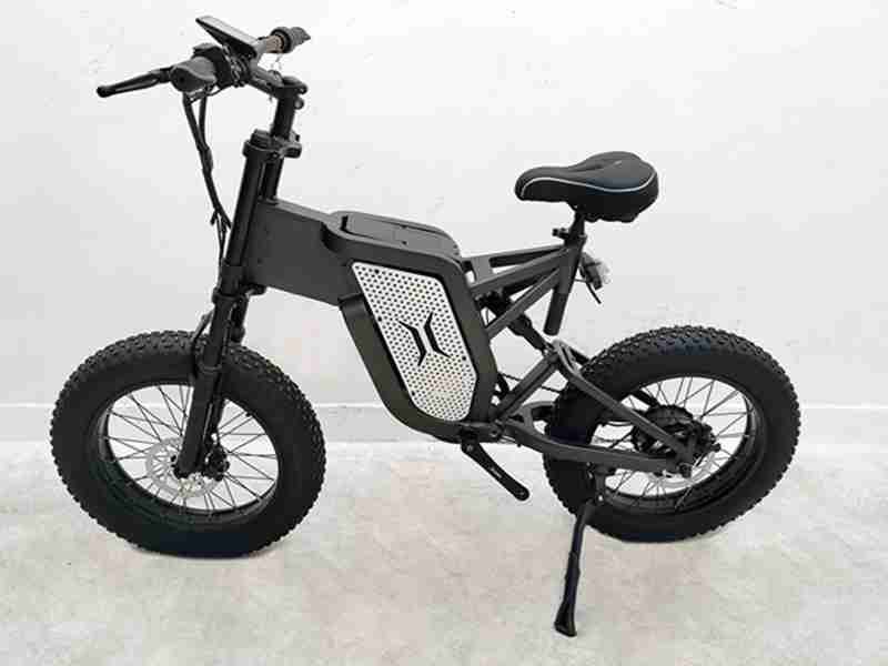 electric bike akku