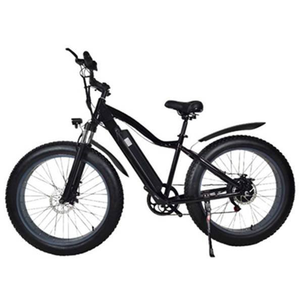 electric bike beach cruiser