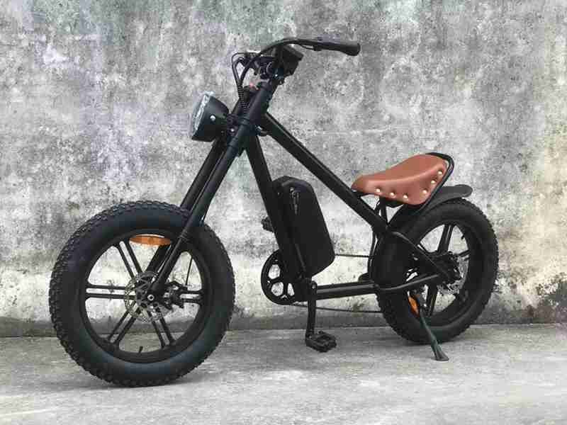 electric bike bicycles fat trie