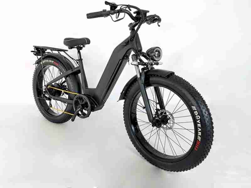 electric bike canopy