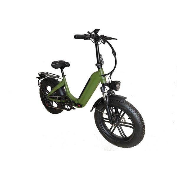 electric bike cargo