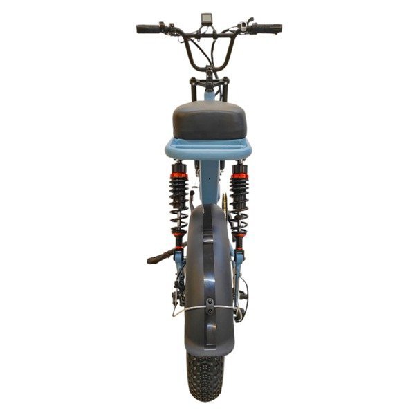 electric bike double motor 1000w
