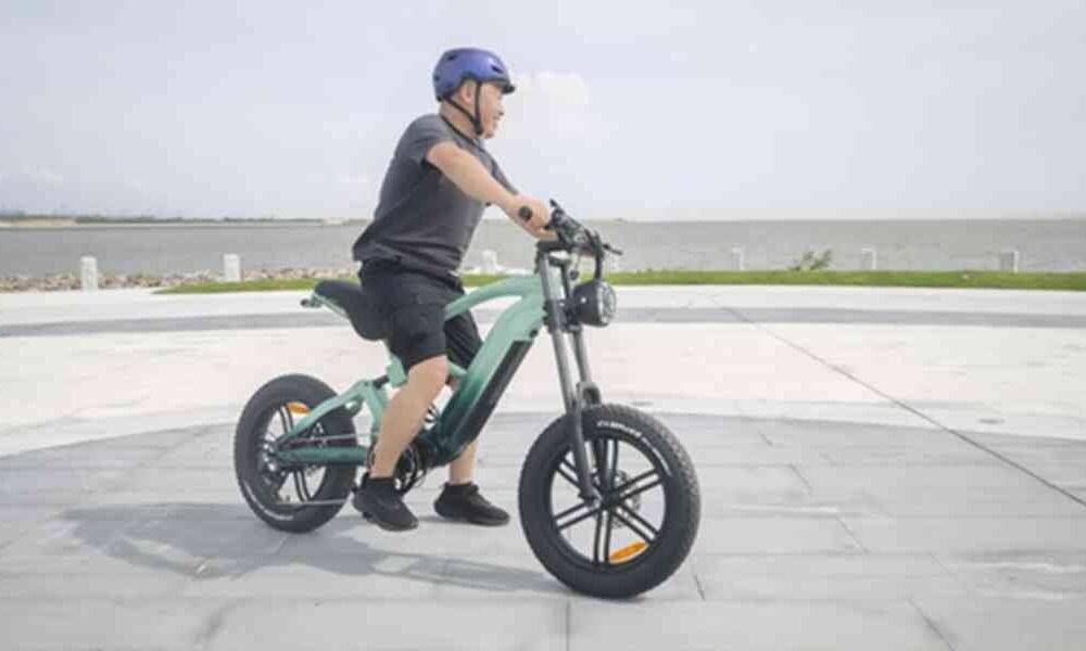 electric bike dual battery