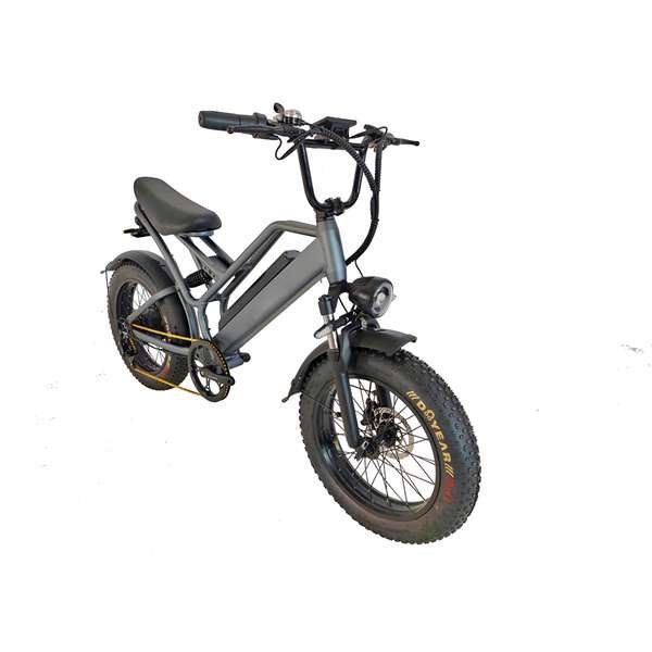 electric bike dyu