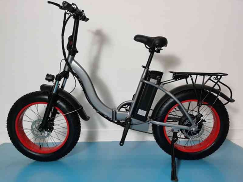 electric bike family