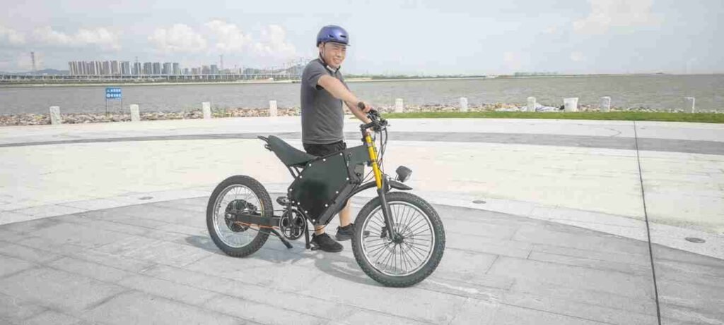 electric bike fat tire bike