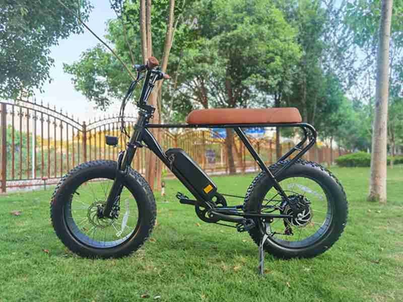 electric bike fat tyres