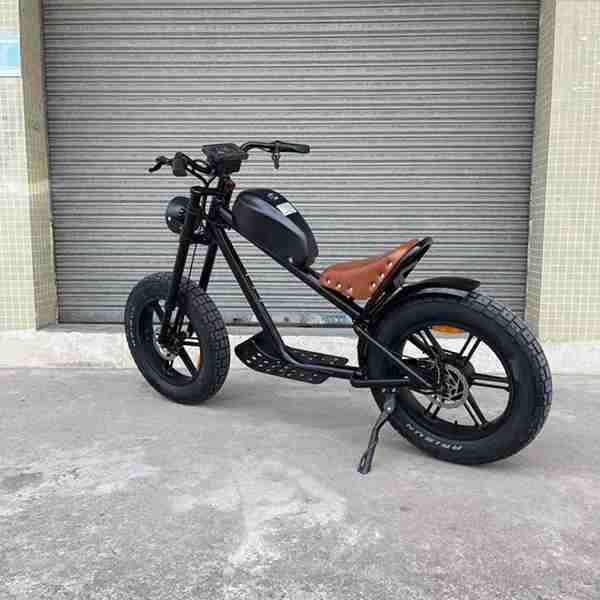electric bike folding 100w 20