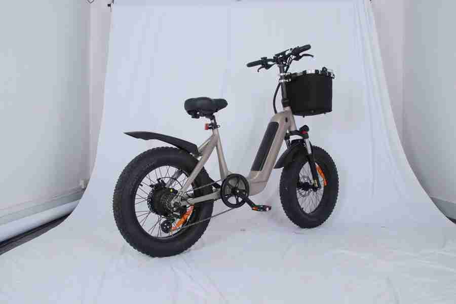 electric bike for 2 people