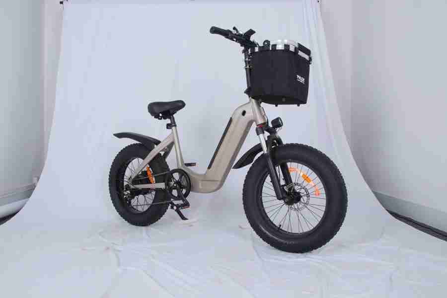 electric bike for two