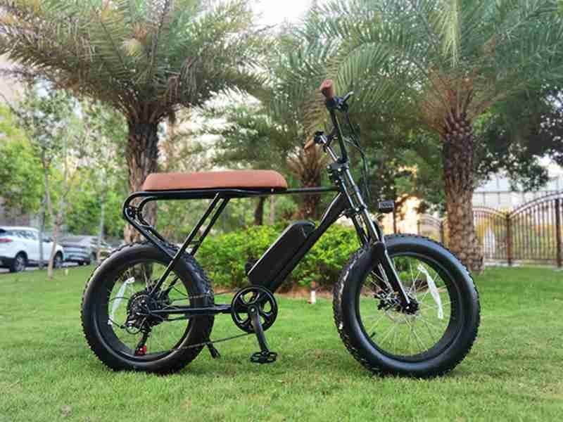 electric bike frame bolts