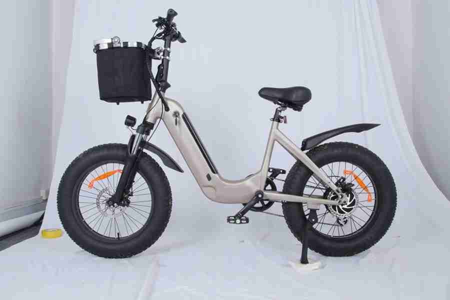 electric bike frame bosch