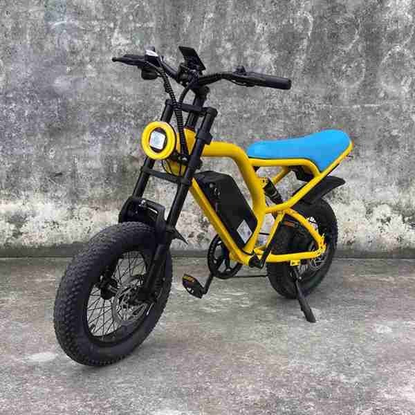 electric bike ice cream cooler cart