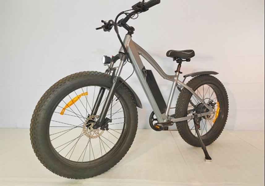 electric bike in jacksonville