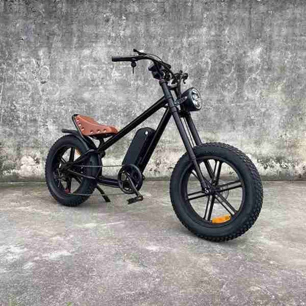 electric bike kid 12