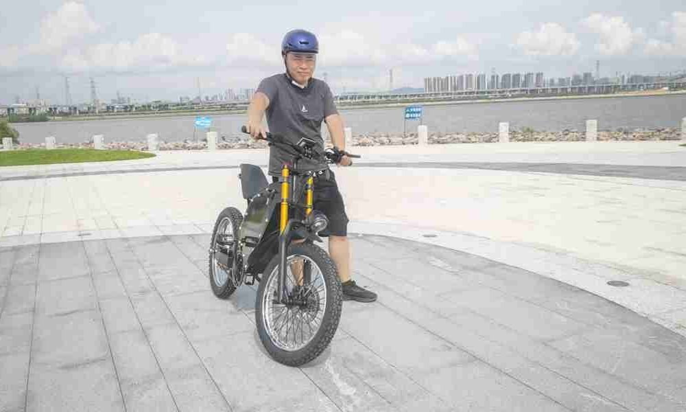 electric bike motor 800w