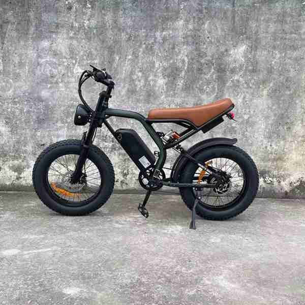 electric bike multi purpose