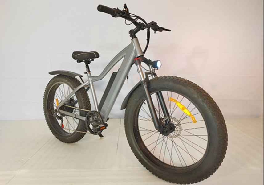 electric bike rear wheel drum brake