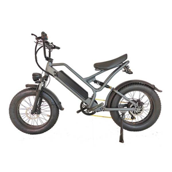 electric bike trolley