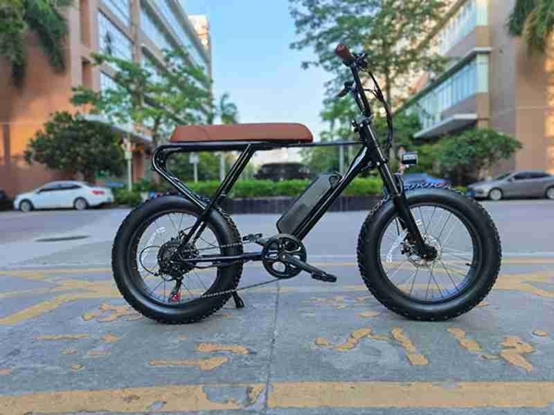 electric bike two seater
