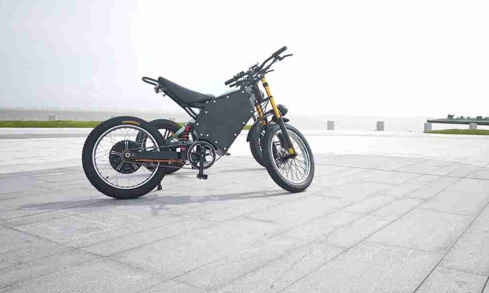 electric bike w3000