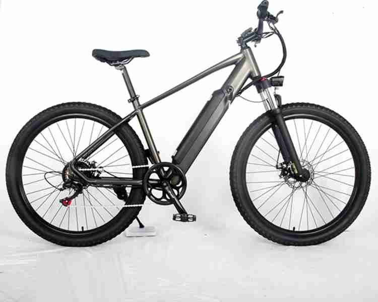 electric bike we alarm
