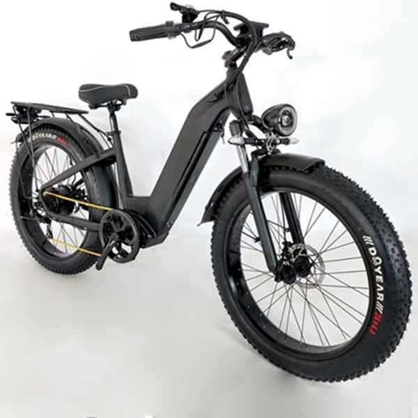 electric bike with baby seat