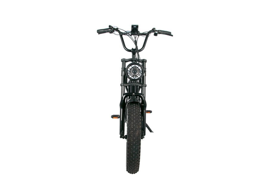 electric bike with kids seat