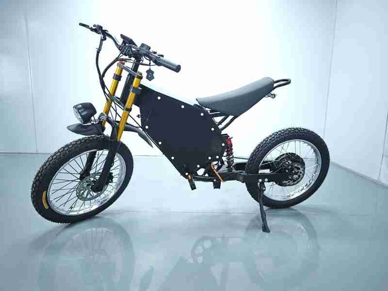 electric bikes for 2 adults