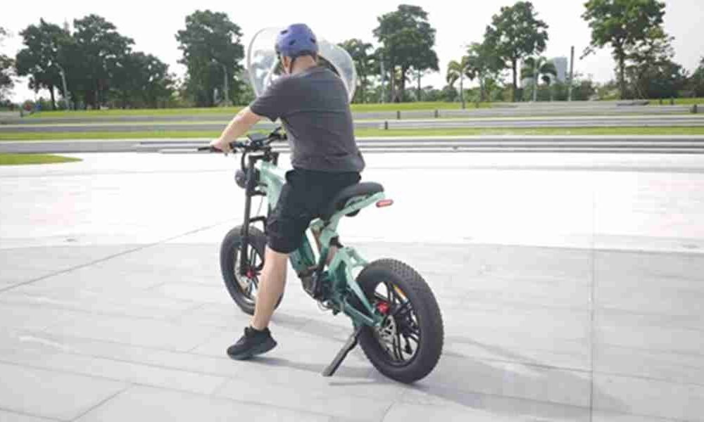 electric cargo bike 4 wheel