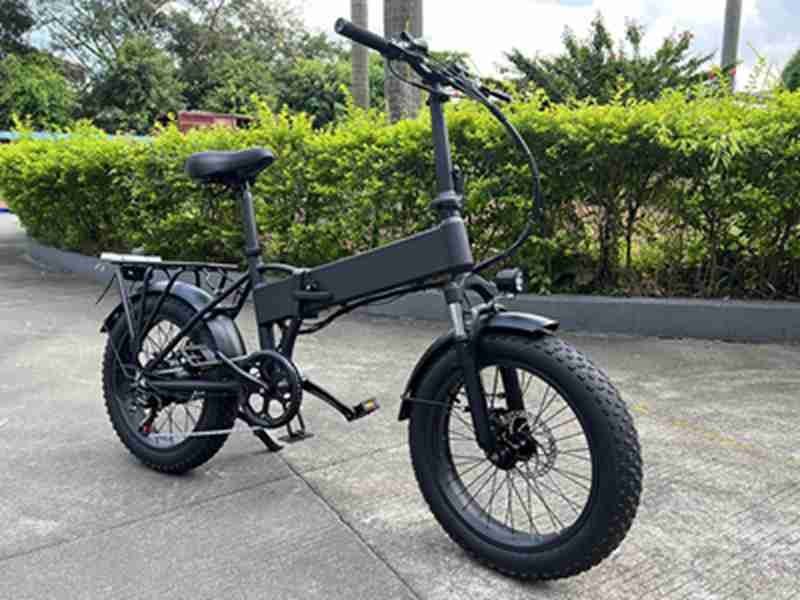 electric cooler bike