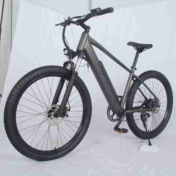electric cruse bike