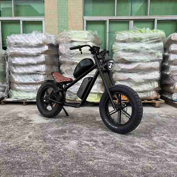 electric e-bike