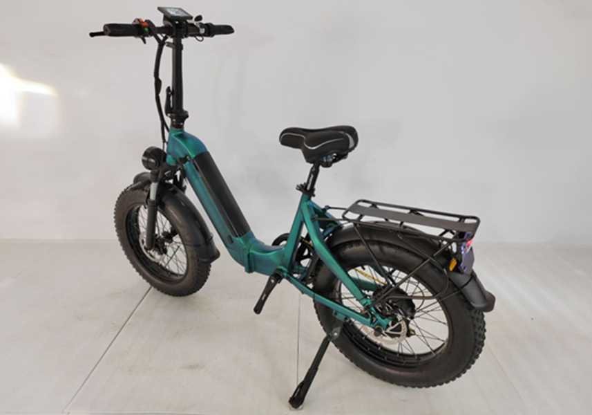 electric family bike