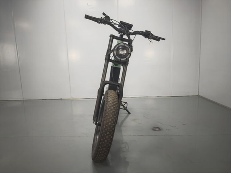 electric fat tire beach bike