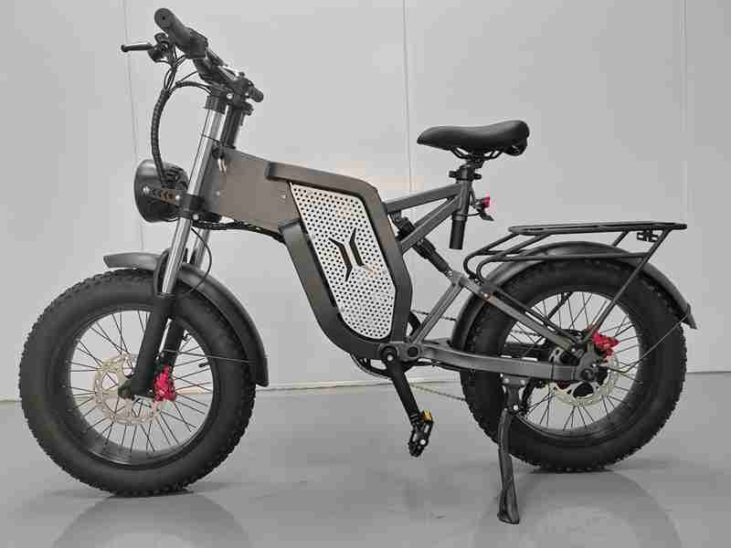 electric fat tire bike dual motor