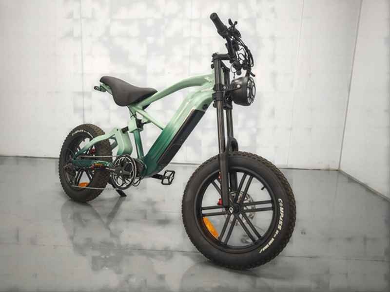 electric fat tire bike electric bicycle for adult