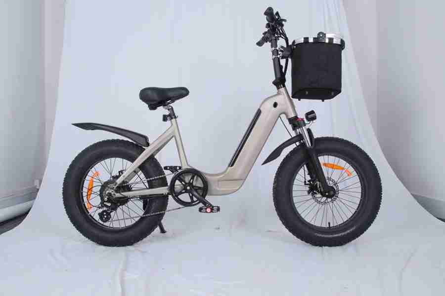 electric food delivery bike
