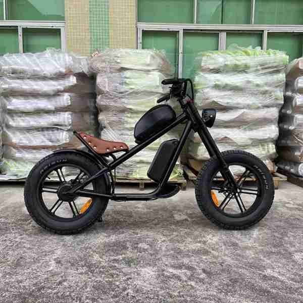 electric motorcycle dirt bike