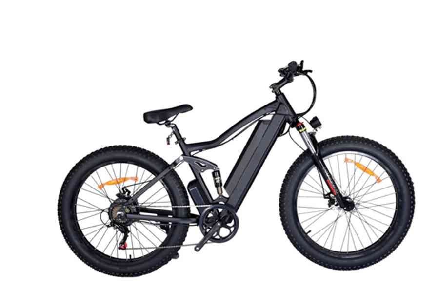 electric mountain bike