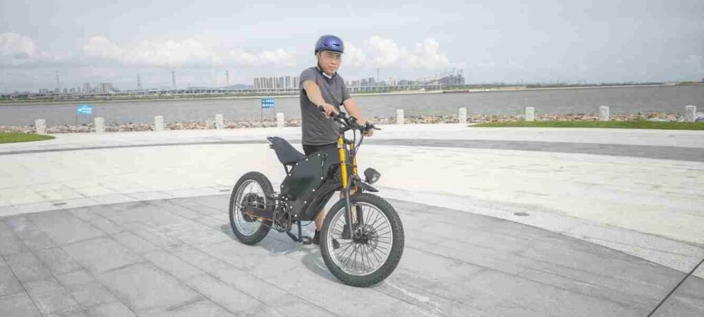 electric scooters fat bike 250w