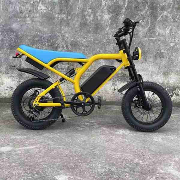 electric three wheel bike