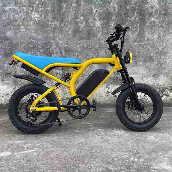 electric three wheel cargo bike