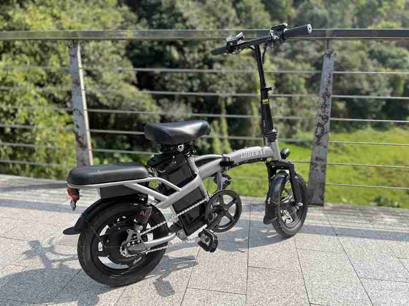 fat bike electric 1000w