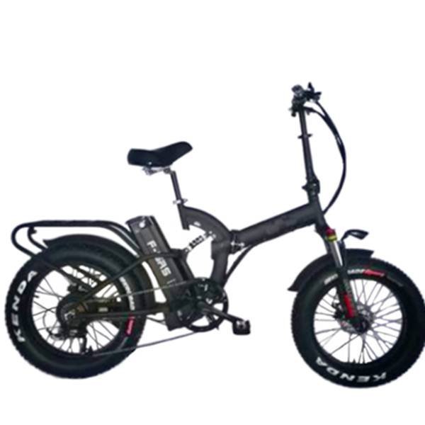 fat bike electric down tube