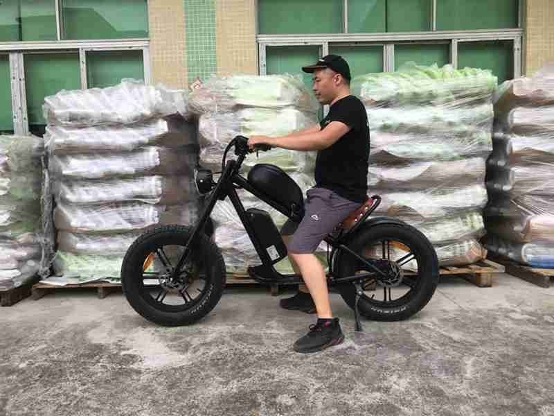 folding electric bike fat tire